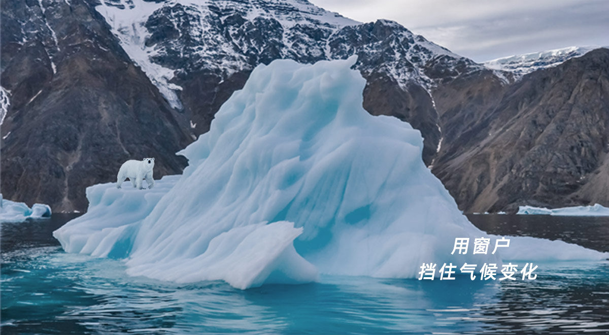 愿景